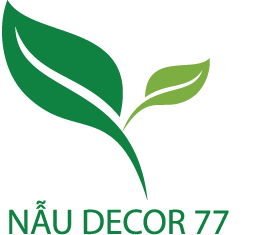 Nẫu Decor 77 – Thiết kế thi công nội thất Nẫu